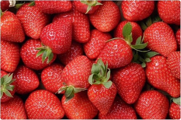 Strawberry Yield and High quality Improved After CuO2 Nanoparticle Publicity