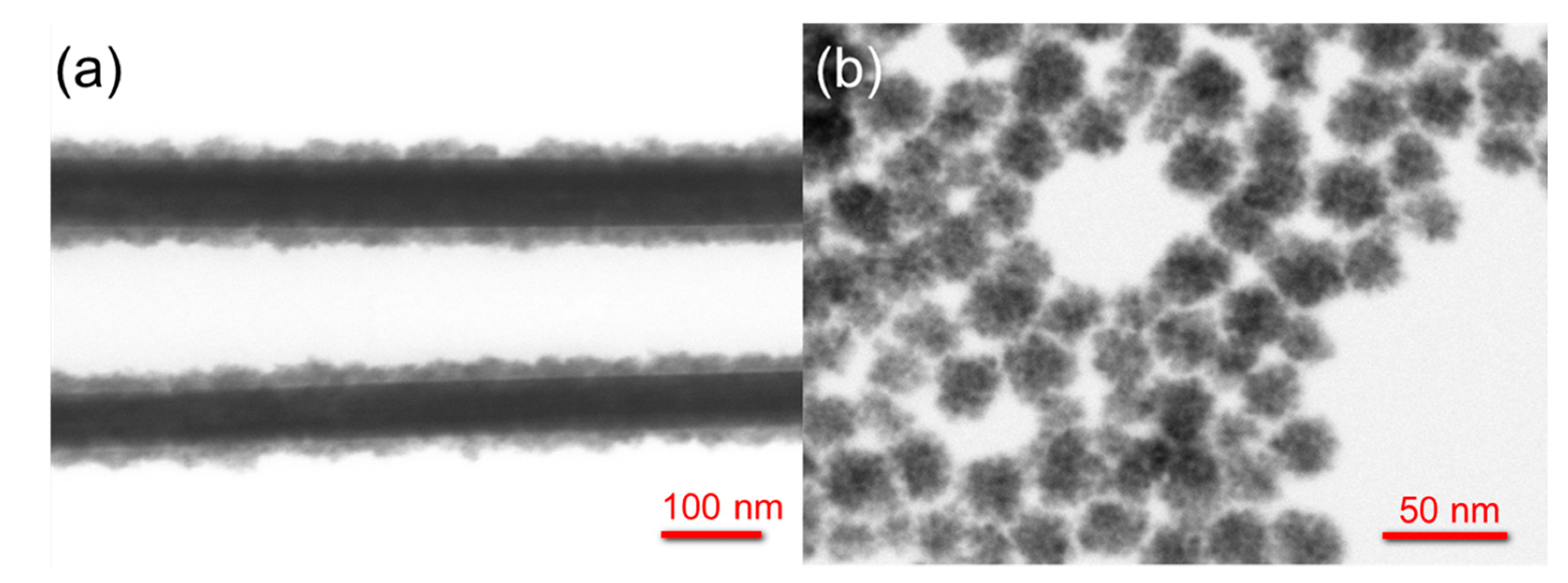 STEM images of (a) core/shell Ag/SnO2NWs and (b) SnO2NPs.