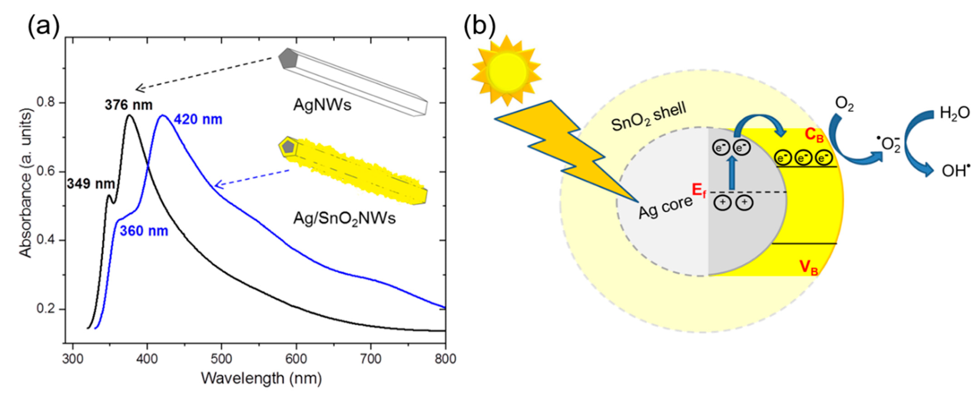 (a) The absorbance spectra of AgNWs and the core/shell Ag/SnO2NWs. (b) Schematic illustration of the photocatalytic mechanism of Ag/SnO2NWs under visible light irradiation.
