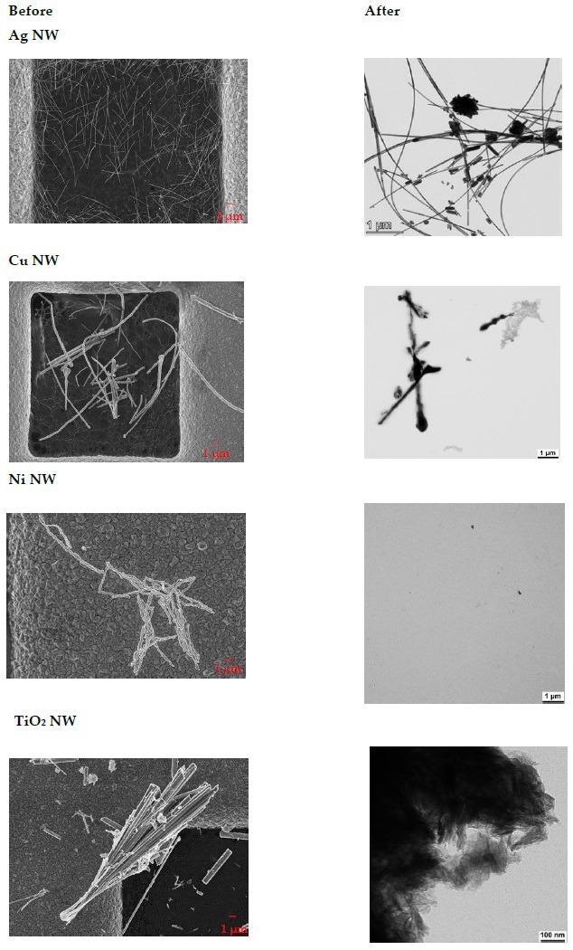 TEM images of NP and NW before and after treatment in the flow-through cells with phagolysosomal simulant fluid (PSF).