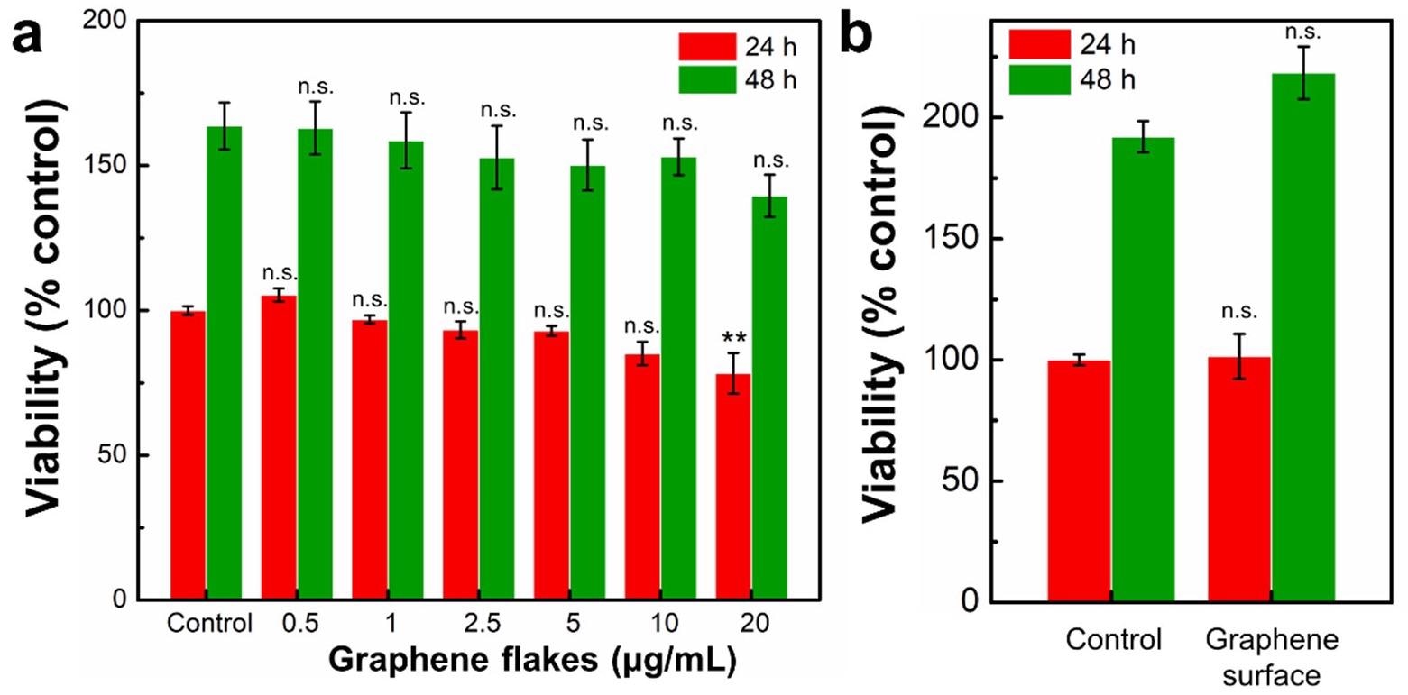 Effects of graphene flakes on viability of NIH-3T3 cells. The viability of NIH-3T3 cells was was determined after 24 h and 48 h exposure to various concentrations of (a) graphene flakes (0.5–20 µg/mL) or (b) on a graphene surface using a WST-1 assay. The results are expressed as the mean ± standard deviation (S.D.) of three independent experiments. n.s., not significant; **, p < 0.01.