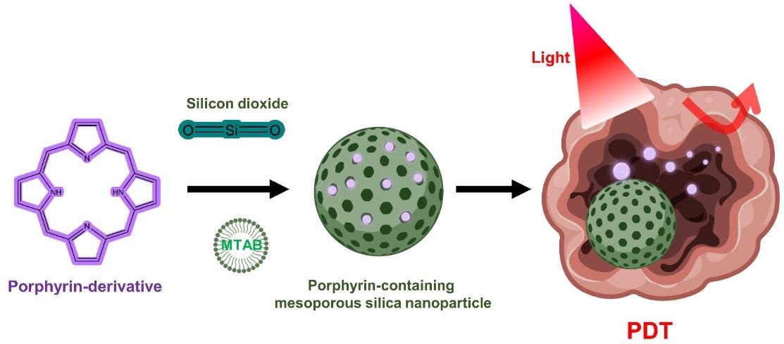 Porphyrin-containing mesoporous silica nanoparticles for PDT.