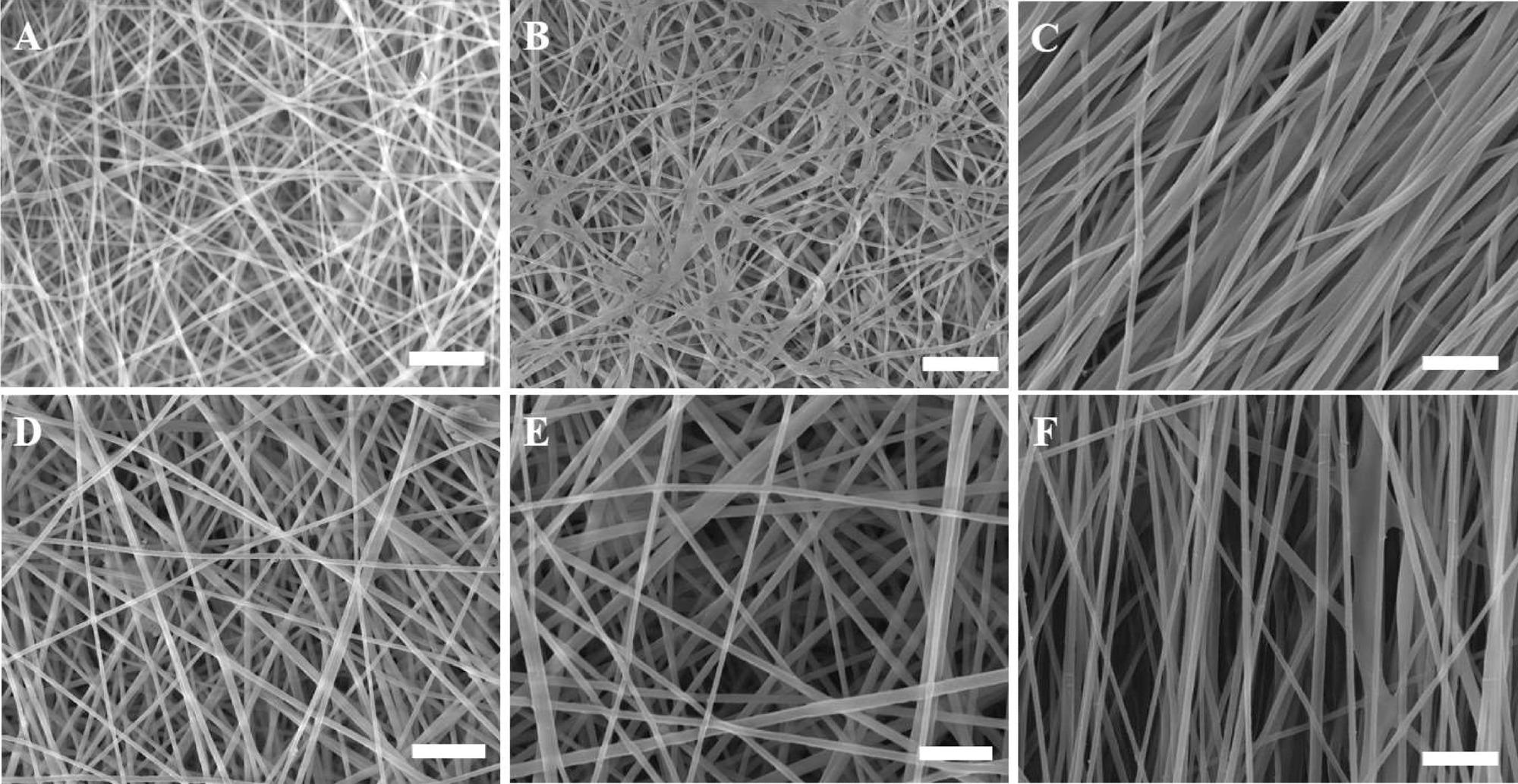 SEM micrographs of non-aligned (random) and aligned electrospun nanofibrous scaffolds showing the effect of various electrospinning processing parameters on the fiber diameter of the scaffolds. (A) R-R1-C2P1, (B) R-R4-C2P1, (C) A-R4-C2P1, (D) R-R1-C4P1, (E) R-R4-C4P1, and (F) A-R4-C4P1.