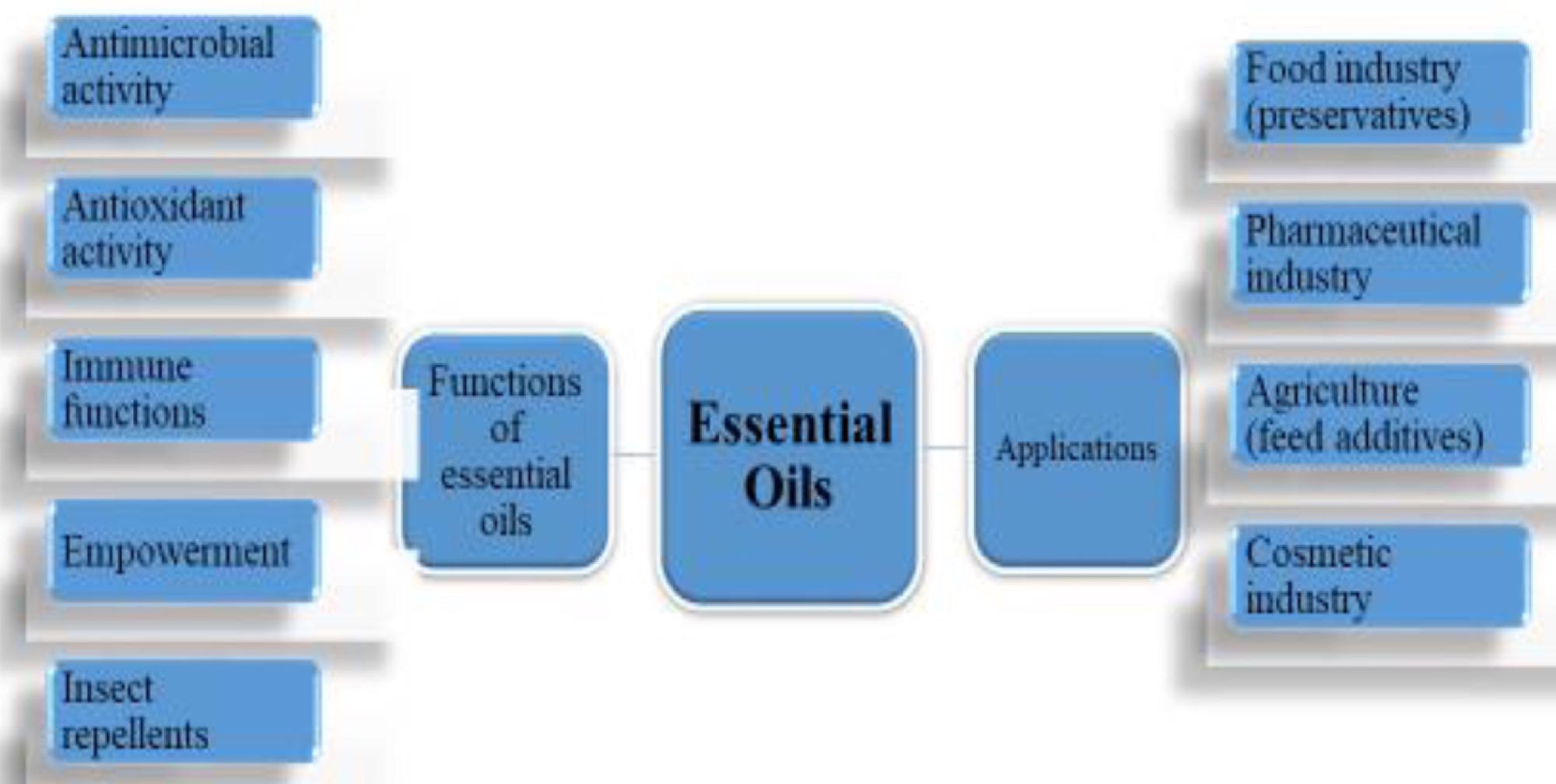 Various industrial applications of essential oils.