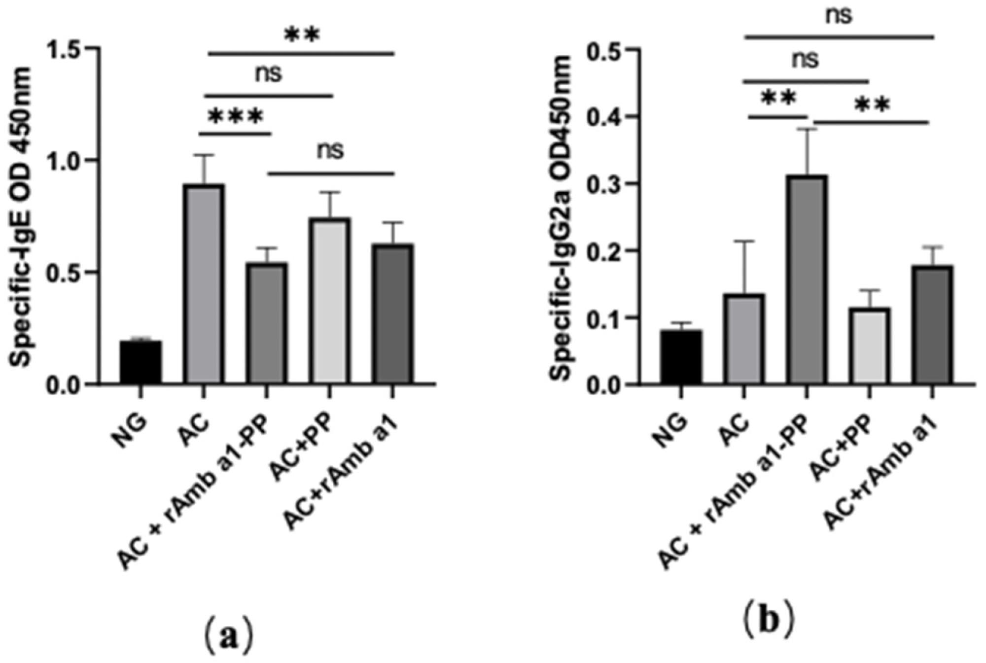 Serum-specific IgE (a) and IgG2a (b) in mice in each group. The data are shown as mean ± SD from five individual mice (*** p < 0.001, ** p < 0.01, ns: no significant difference). Abbreviations: NG, naive group; AC, allergic conjunctivitis group; AC + rAmb a 1-PP, allergic conjunctivitis + rAmb a 1-PLGA-PEG treatment group; AC + PP, allergic conjunctivitis + PLGA-PEG treatment group; AC + rAmb a 1, allergic conjunctivitis + rAmb a 1 treatment group.