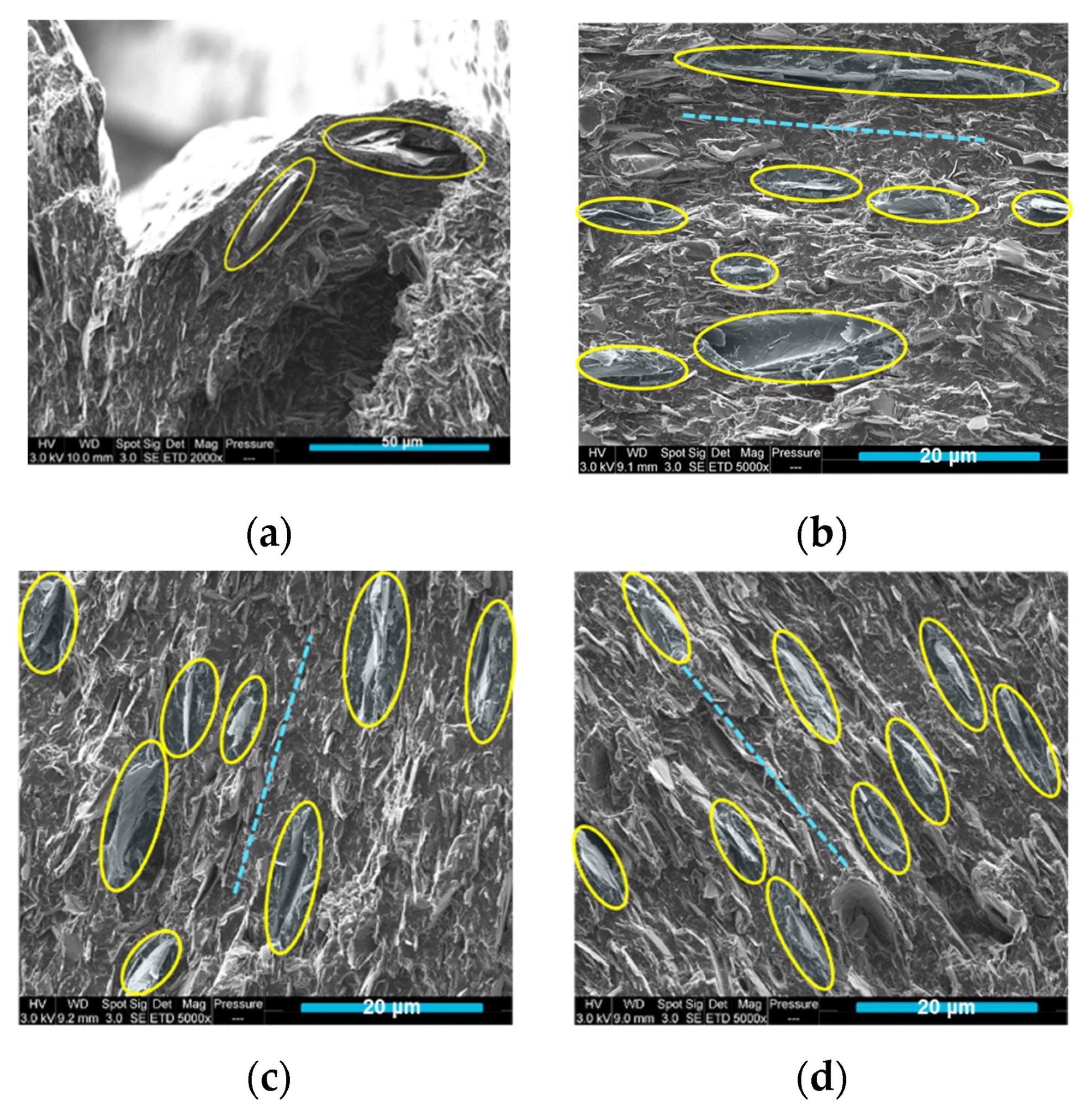 Figure 8 (a) SEM image of 3D-printed PLA/PCL/15 wt% M5; (b–d) SEM images of injection-moulded PLA/PCL/15 wt.% M5 composite (The yellow ellipses are surround some graphene flakes and the dotted lines indicate the similar orientation of the graphene platelets in the injection moulded samples).