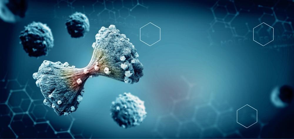 Si/NiO Nanoflowers Show Promising Anticancer Applications