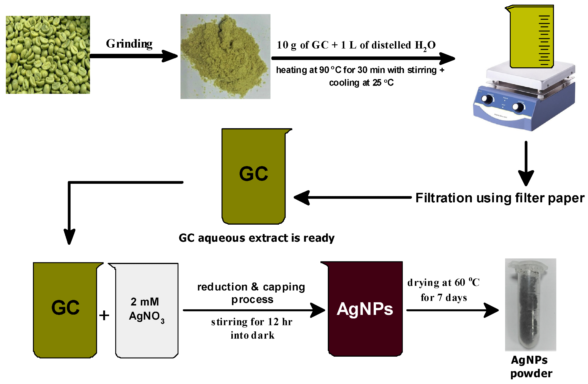 Schematic diagram of the preparation method of phyto-capped Ag NPs.