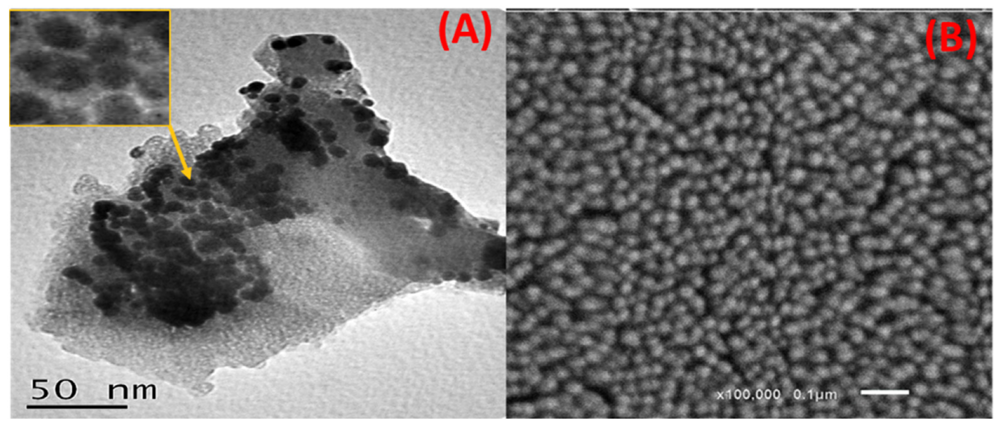 (A) HRTEM and (B) SEM images of the capped Ag NPs.