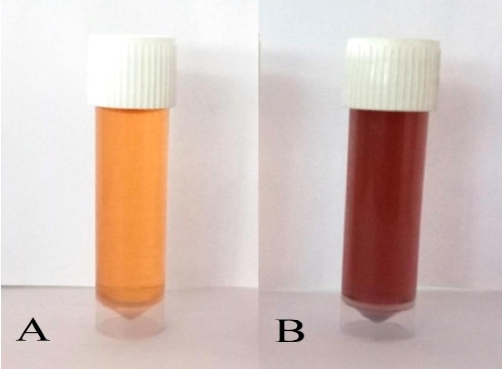 Biosynthesis of P-AgNPs from leaf extract of P. alba: mixture of aqueous Plumeria alba leaf extract and AgNO3 solution (A) before incubation and (B) after incubation.
