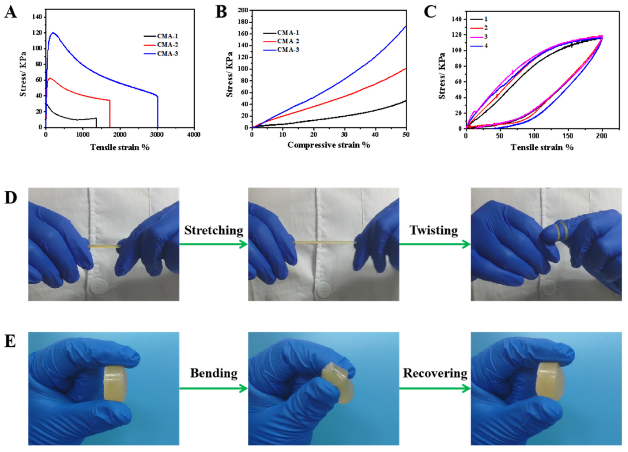 Mechanical properties of CMA hydrogels: (A) Tensile strain curve at 10 mm min-1. (B) Compressive strain curve at 5 mm min-1. (C) Stretching–releasing cycles. Photographs of CMA-3 hydrogel exhibiting excellent stretching and bending flexibility (D,E).