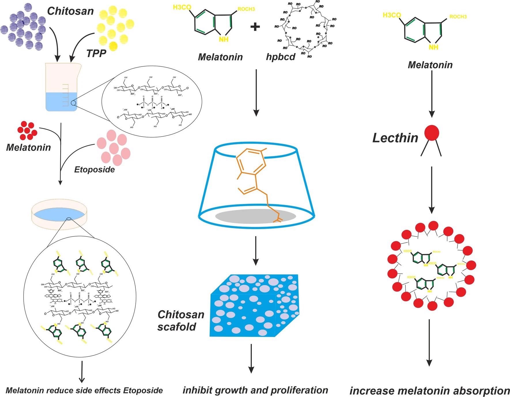 The schematic diagram provided reveals chitosan melatonin nanostructures and its functions
