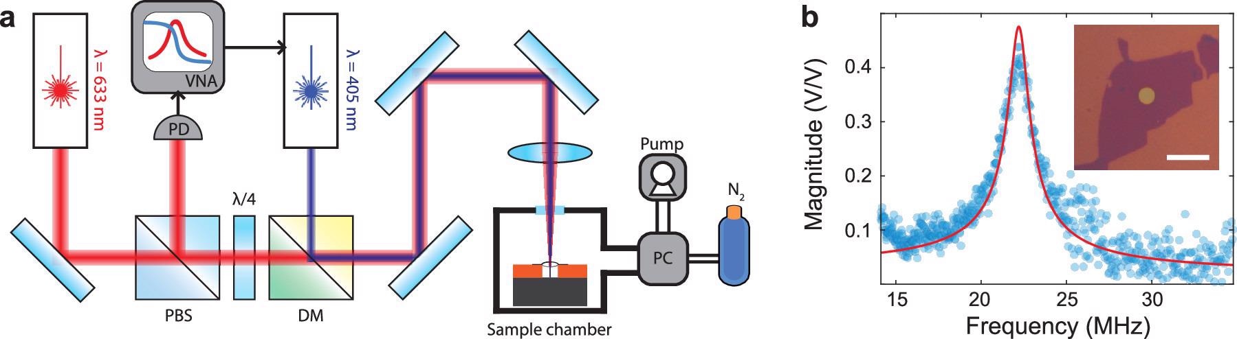 (a) Schematic illustration of the measurement setup. Vector network analyzer (VNA) sends an amplitude modulated signal to the blue laser diode which optothermally actuates the membrane while the red He–Ne laser reads out its motion. The reflected red laser light is detected at the photodetector (PD) and the signal is collected by the VNA. The pressure inside the sample chamber is controlled by the pressure controller (PC) which is connected to a scroll pump and a pressurized N2 gas bottle. PBS, polarized beam splitter; DM, dichroic mirror. (b) An example of a resonance peak of a SRO (16 u.c.) device with a harmonic oscillator fit in red. Inset: optical image of the device. A SRO flake is stamped on top of a circular cavity in SiO2/Si. Scale bar is 10 µm.