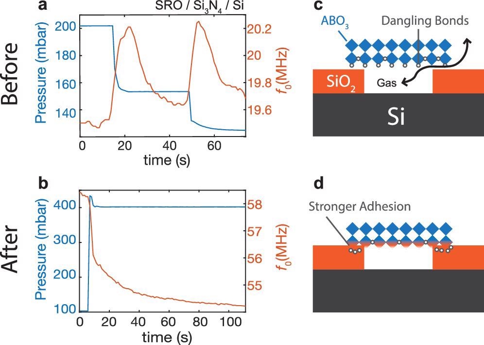 Pressure response (left y-axis, blue) of mechanical resonance (right y-axis, orange) in a SRO device fabricated on 350 nm Si3N4/Si (a) before annealing and (b) after annealing. Possible mechanism of the bonding is illustrated in panels c and d. (c) Before annealing, there are dangling bonds at the bottom of the flakes. The vdW gap between the SRO and the SiO2 allows for gases to pass through. (d) After annealing, vacancies bond with the oxygen in the substrate leading to a stronger bond to form at the interface.