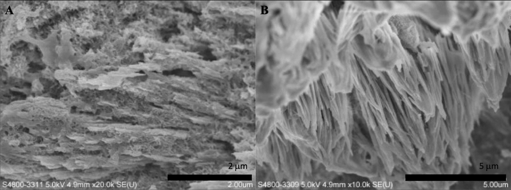 SEM micrographs of the synthesized biomaterial treated with a current of 10 mA, after 10 h mineralization. (A 20.0 k?×?magnification; B 10.0 k?×?magnification).