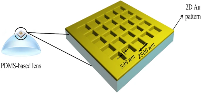 A schematic array of the simulated 2D plasmonic contact lens based on PDMS.