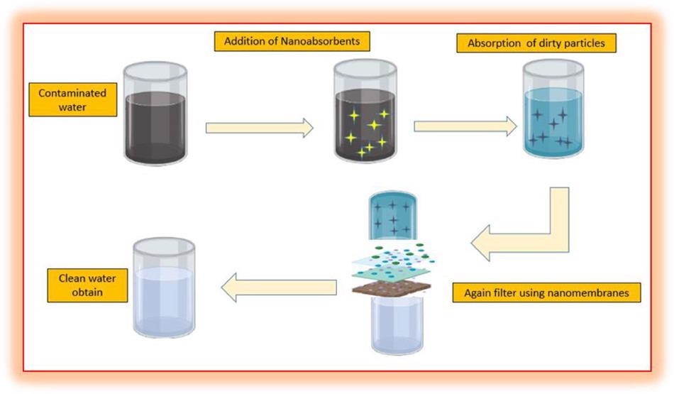 Process involve in the removal of metal ions