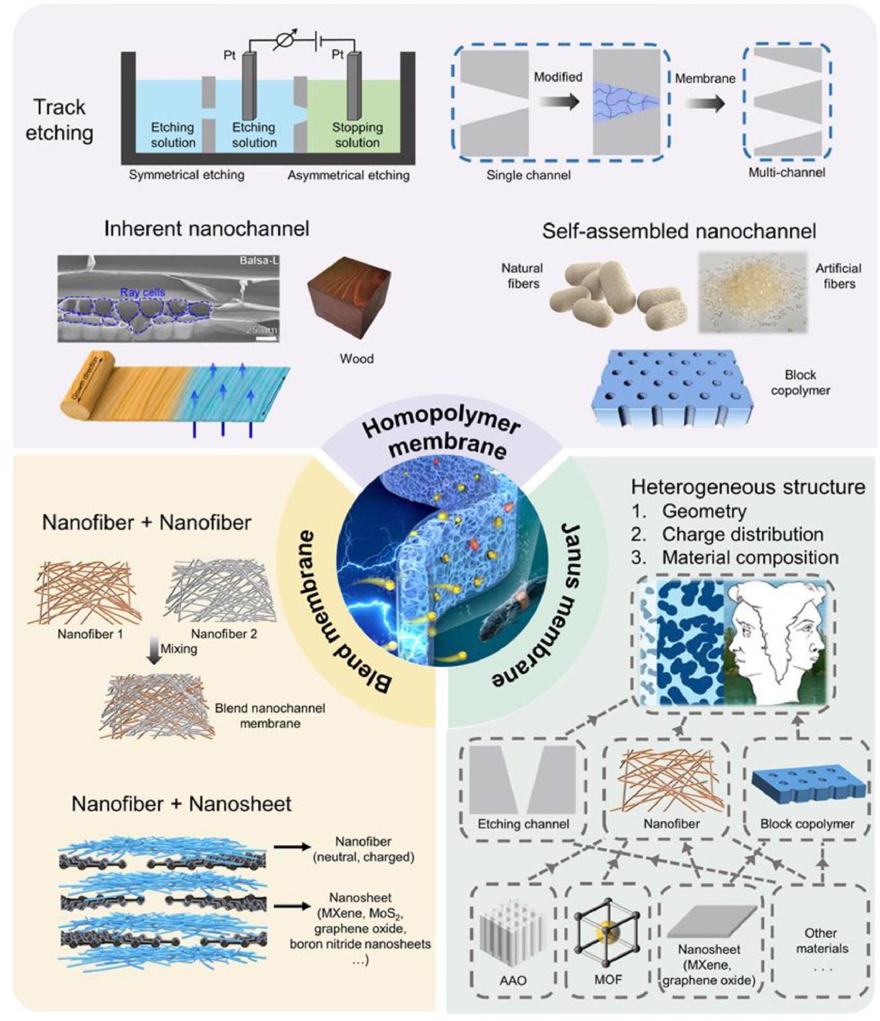 Bioinspired nanochannel membranes based on polymeric materials for osmotic energy conversion.