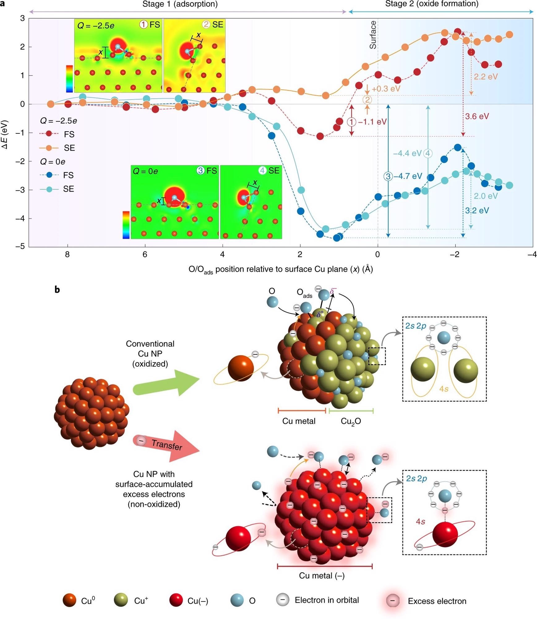 Theoretical analysis and model of oxidation-resistant Cu NPs.