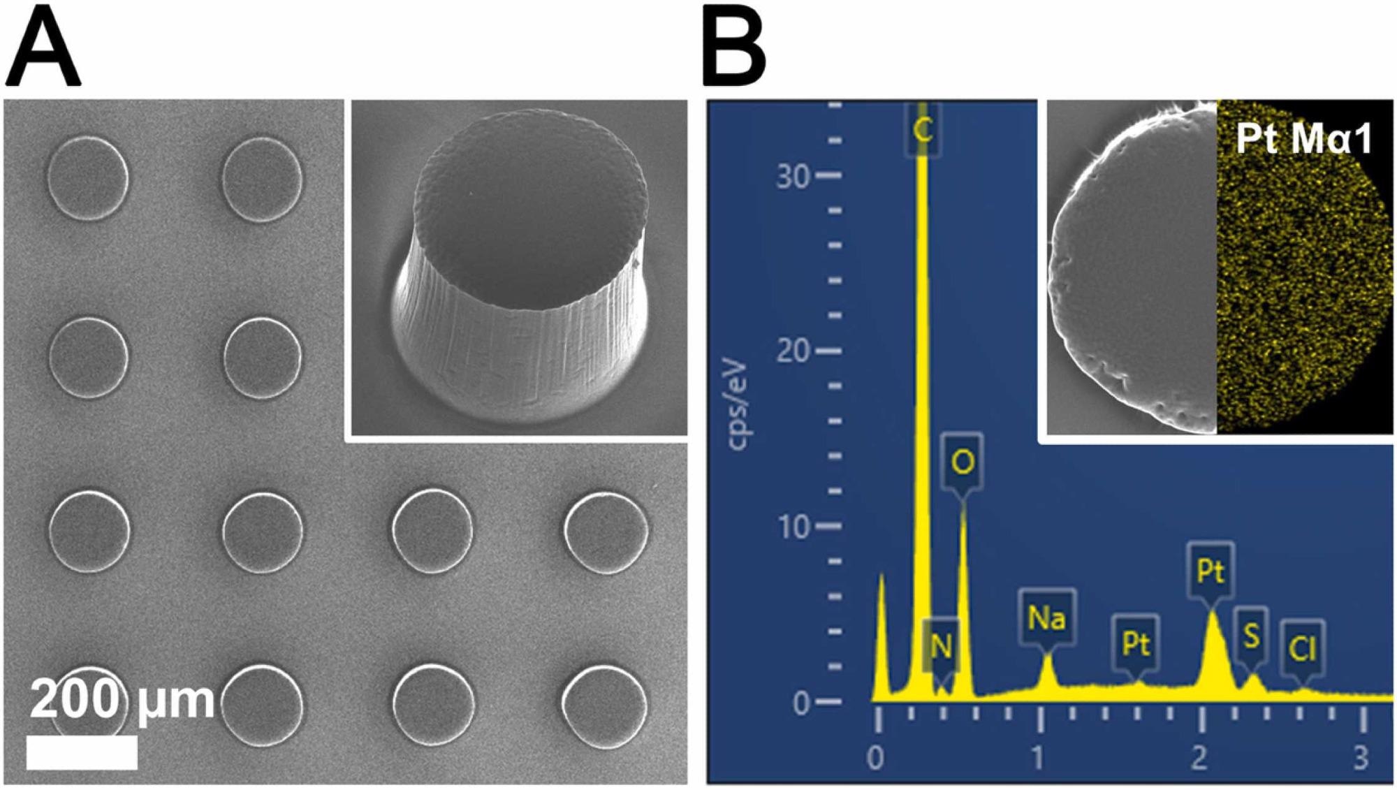 (A) SEM images of PtNZHG. (B) Energy-dispersive X-ray spectrum of PtNZHG and the corresponding results of Pt mapping.