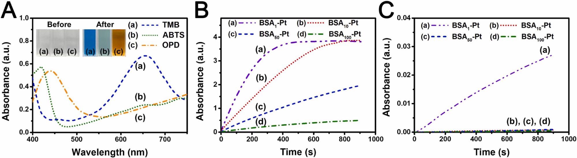 (A) UV–vis absorption spectra obtained after the PtNZ-promoted oxidation of (a) TMB, (b) ABTS, and (c) OPD with H2O2. Inset: corresponding images before and after nanozyme addition. Time-dependent absorbance of TMB (ox) at 655?nm obtained in the presence of four PtNZs (0.5?mg?mL-1) (B) with and (C) without H2O2. Reaction conditions: 0.1?mg?mL-1 TMB, 0.1?mg?mL-1 ABTS, or 0.4?mg?mL-1 OPD; 10?mM?H2O2 in PC buffer (50?mM, pH 5.0) at room temperature (25?°C).