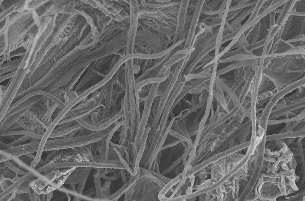 Decreasing the Environmental Impact of Cellulose Nanocrystal Production