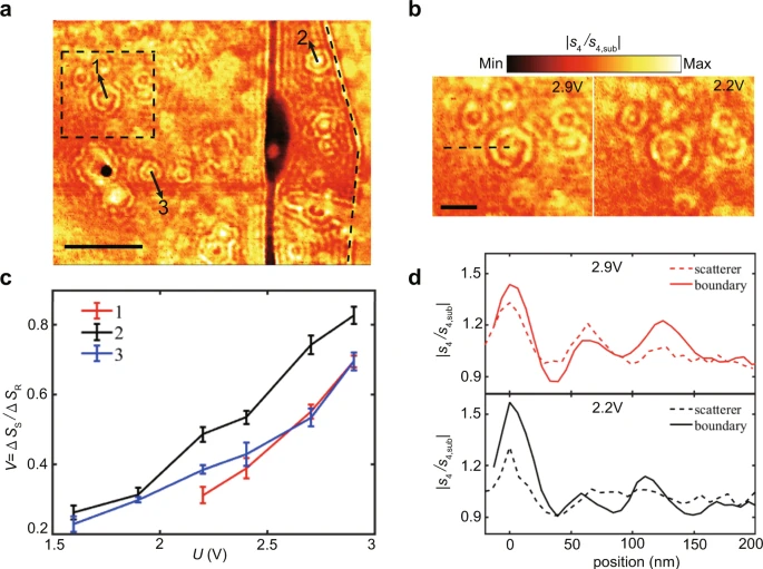 The near-field response of individual scatterers at the wavelength of ??=?10.653?µm