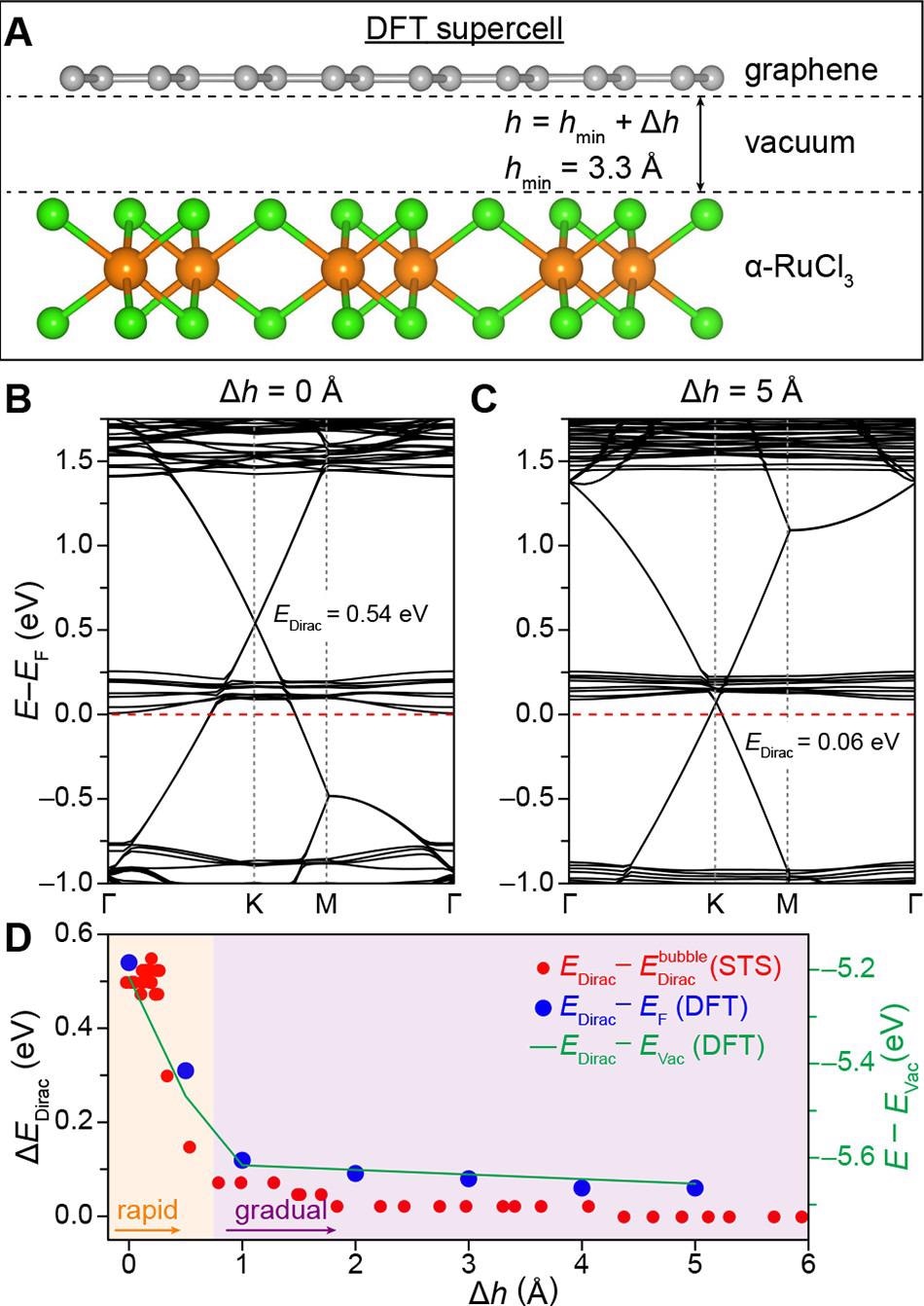 DFT and STM analysis of interlayer charge transfer in graphene/a-RuCl3 heterostructures. (A) Side-view of the graphene/a-RuCl3 heterostructure supercell used in DFT calculations. An equilibrium interlayer separation of hmin = 3.3 Å is used to model the so-called flat interface observed experimentally. To model the charge transfer behavior between graphene and a-RuCl3 at the edge of nanobubbles (where the interlayer separation increases gradually), additional calculations are performed using interlayer separations of ?h = h – hmin = 0.5, 1, 2, 3, 4, and 5 Å. Orange, green, and gray spheres indicate Ru, Cl, and C atoms, respectively. (B) DFT-calculated band structure for a graphene/a-RuCl3 heterostructure with maximal charge transfer (i.e., h = hmin = 3.3 Å). (C) Band structure for graphene/a-RuCl3 heterostructure with h = hmin + 5 Å, showing minimal interlayer charge transfer. The Fermi levels are set to zero in (B,C). (D) The shift in EDirac relative to its value on the nanobubble plotted as a function of interlayer separation is plotted for both experimental (red dots) and theoretical (blue dots) data. The shift in EDirac relative to the vacuum energy EVac is plotted with a green curve. The rapid decay in interlayer charge transfer is highlighted in orange, while the subsequent gradual decay is highlighted in purple.