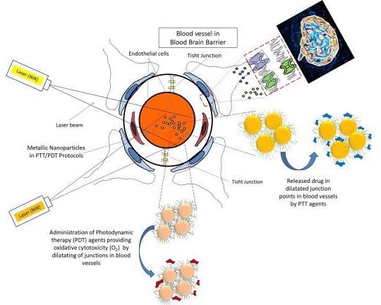 Los expertos están utilizando modalidades de fototerapia basadas en nanomateriales para tratar el cáncer.