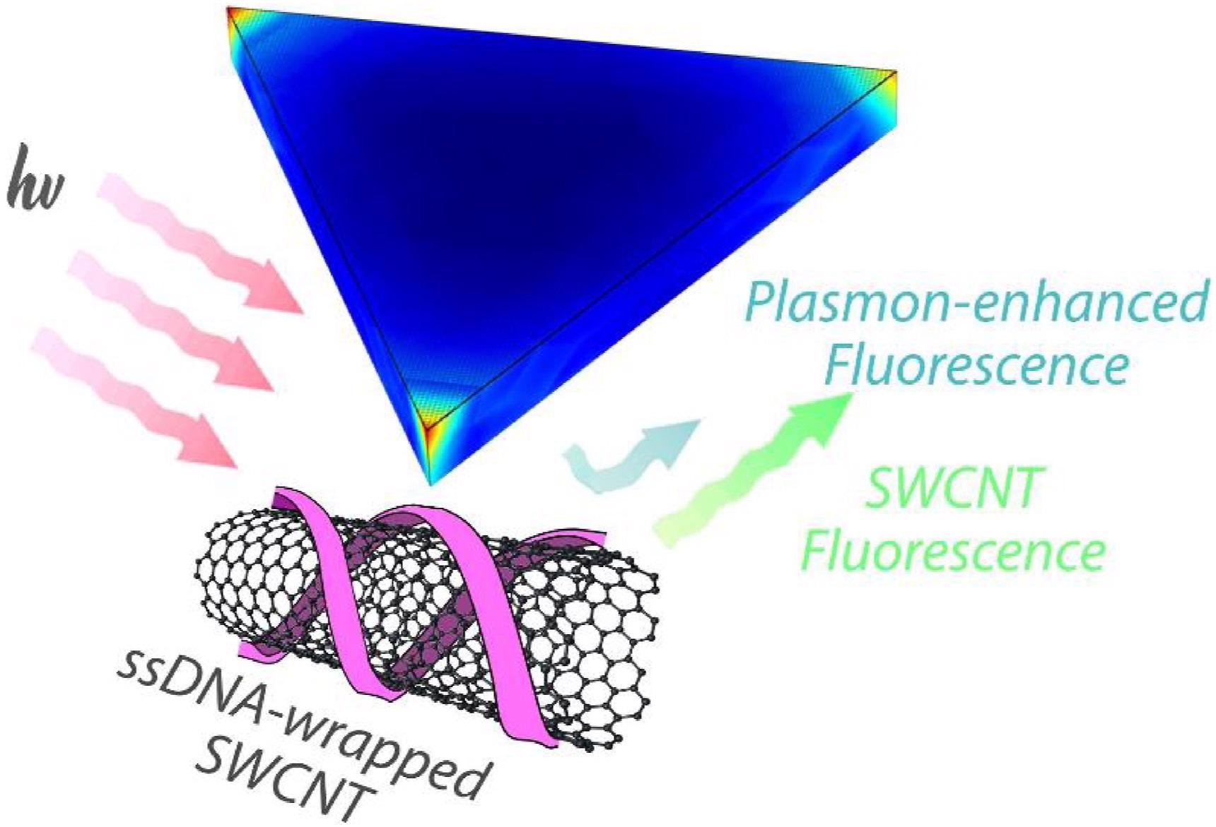 Schematic of ssDNA-wrapped SWCNT in the vicinity of metallic nanostructures that contribute to plasmon-enhanced fluorescence. Upon illumination at resonant wavelengths (red), the metallic nanoparticles show shape, size, and composition-specific plasmonic effects (blue) for enhancing NIR-II SWCNT fluorescence (green). (A colour version of this figure can be viewed online.)