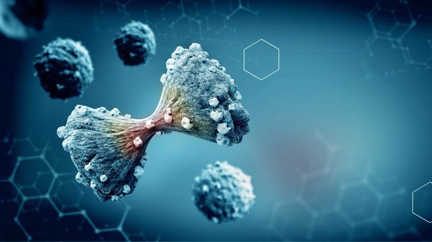 Tumor Focusing on Nanomedicine Might Fight Multidrug Resistance