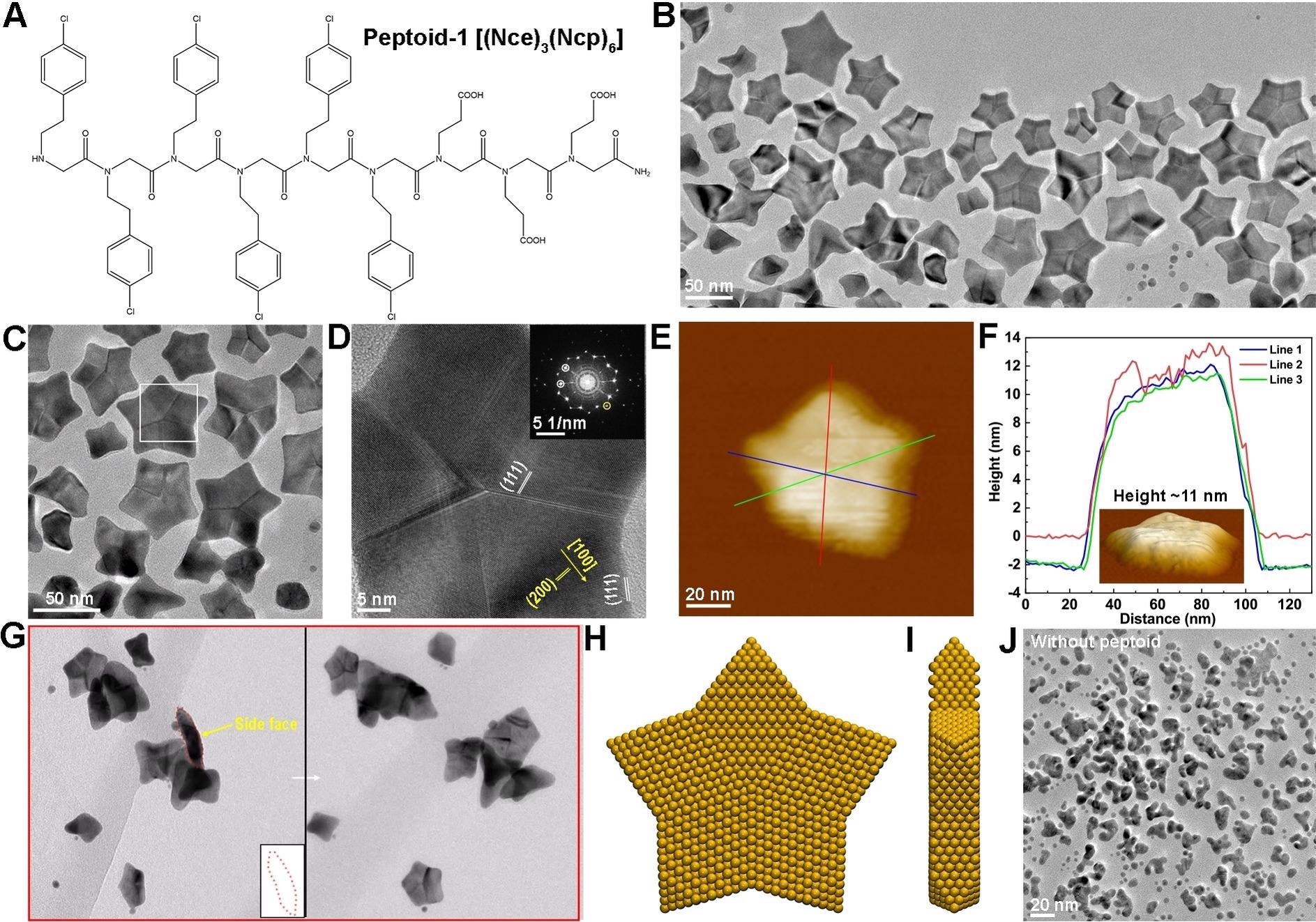 Los científicos desarrollan un método bioinspirado para producir estrellas de oro a nanoescala.