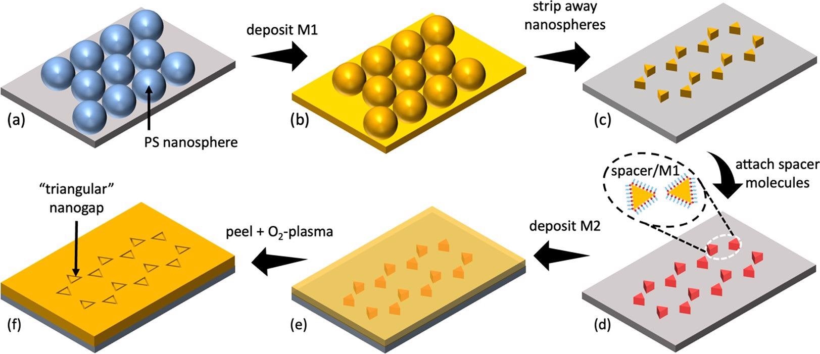 Fabrication procedure for triangular nanogap arrays: first, a monolayer of close-packed polystyrene nanospheres is drop-cast on a substrate and gently treated with an oxygen plasma to reduce surface asperities (a); second, a 50 nm layer of a first metal [M1] is deposited by e-beam deposition onto the nanosphere-coated substrate (b); third, the nanosphere template is removed by tape-stripping, leaving an array of triangular-shaped metal features on the substrate (c); fourth, the metal triangles are conformally coated with a molecular spacer formed from a self-assembled monolayer (SAM) or a self-assembled multilayer (d); fifth, the entire substrate is coated with a 30 nm layer of a second metal [M2] (e); and sixth, an adhesive film is applied to the upper surface of M2 and then stripped away, removing the parts of M2 that lie directly above the first metal. Finally, treatment with an oxygen plasma removes the spacer molecules, leaving M1 and M2 side by side on the substrate with triangular nanoscale gaps between them that are approximately equal in width to the length of the molecular spacer (f).