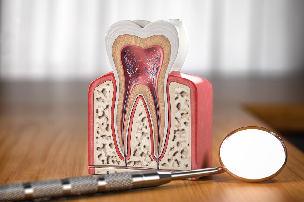Scientists Investigate New Route to Restore Tooth Structures