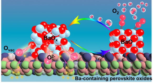 CAS Scientists Discover the Process of Oxygen Activation on Barium-Containing Perovskite Materials.