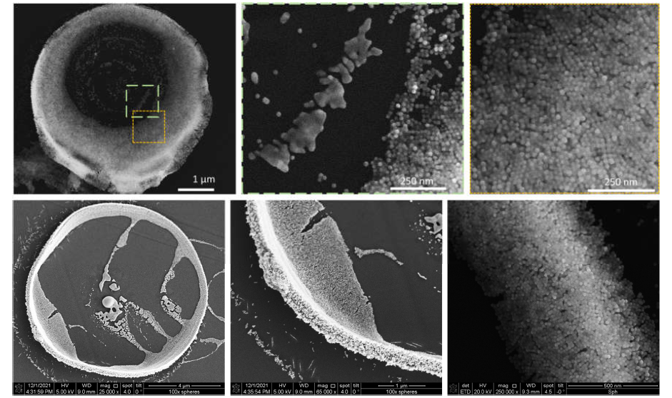 SEM micrographs of bubble-printed ring-shaped AuNS assemblies.