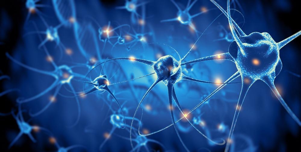 Nuevo enfoque para la regeneración de nervios periféricos mediante estimulación piezoeléctrica