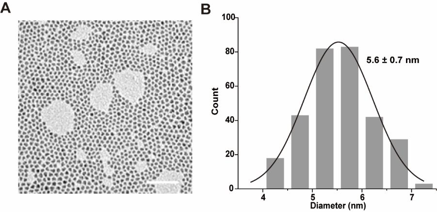 Transmission electron microscopy (A) and particle size statistics (B) of oilsoluble quantum dots. (Scale bar: 50 nm)