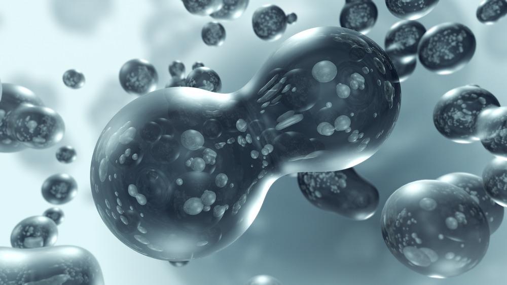 Sustainable Nanofluid Coatings Developed with Promising Wettability