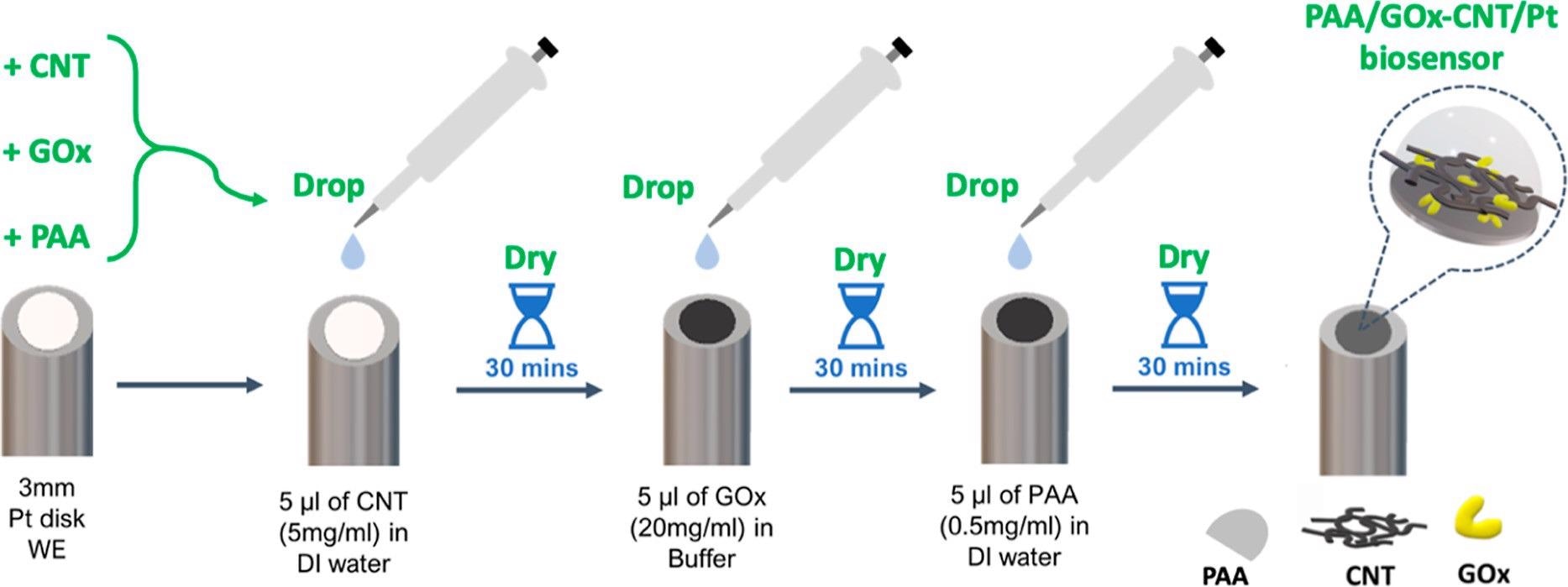 PAA/GOx-CNT/Pt glucose biosensor fabrication procedure as a simple sequence of three drop-and-dry steps with solutions or suspensions of commercial stock materials.
