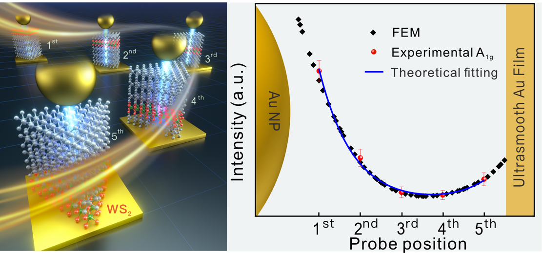 Los científicos desarrollan nanoreglas para arrojar luz sobre los campos plasmónicos longitudinales en las nanocavidades.