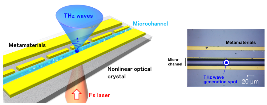 Los investigadores desarrollan un sistema de microfluidos para posibles dispositivos lab-on-a-chip.