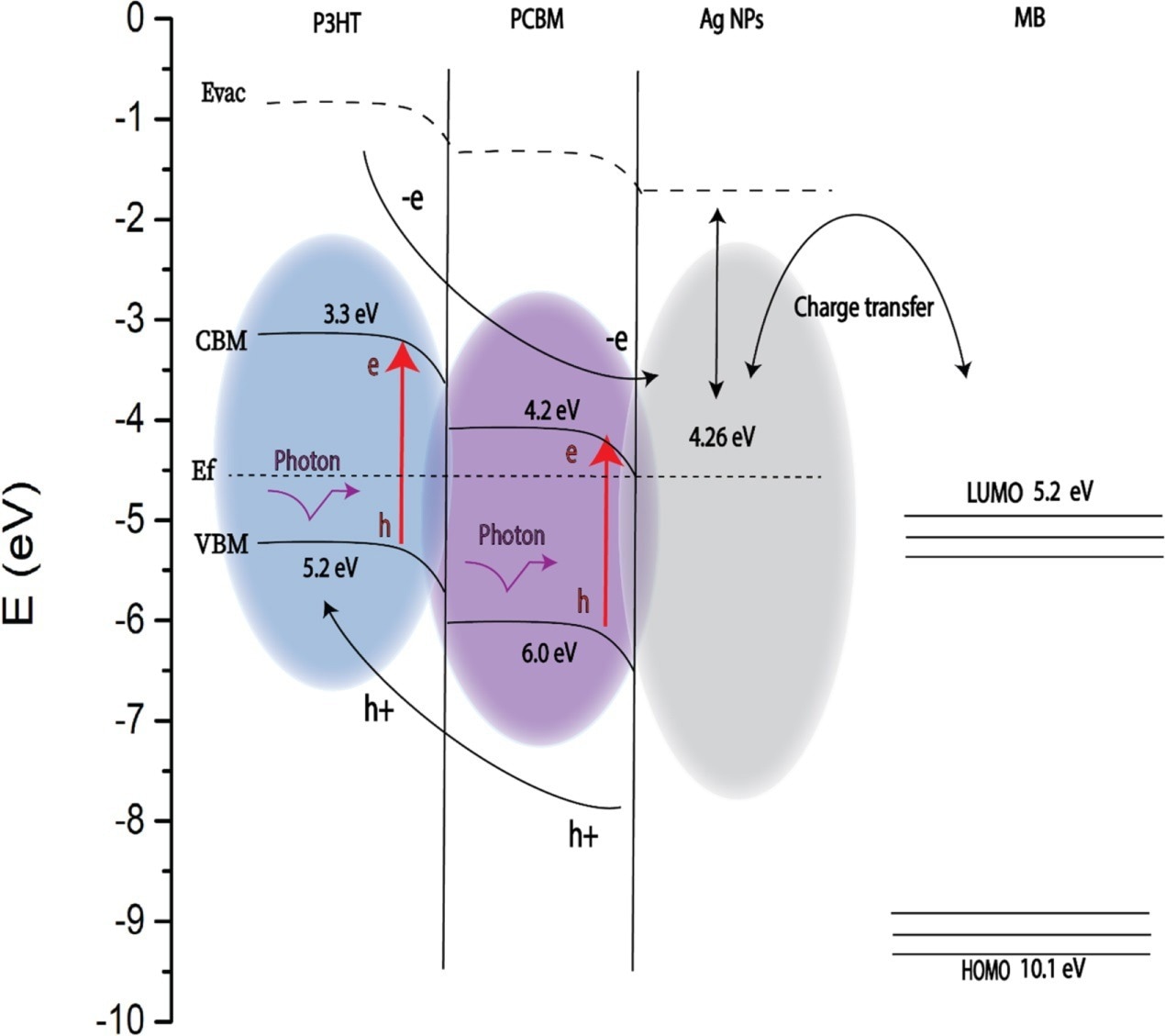 An energy band diagram illustrating the electronic transition between P3HT: PCBM and Ag NPs and the MB analyte molecule. The red lines show electron transitions excited by the Raman excitation laser.