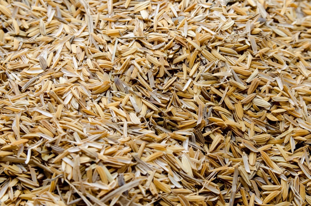 Nanofluido derivado de desechos de arroz exhibe propiedades físicas mejoradas