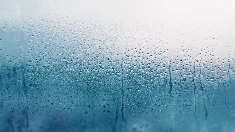 How to Manage Humidity in Cold Store Installations