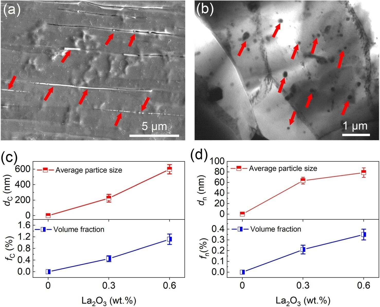 Representative SEM (a) and TEM (b) images to show the coarse La2O3 particles and nanosized La2O3 particles in the Mo-0.6LaO alloy, respectively. Both particles are respectively indicated by red arrows. Statistical results on the average size (dc or dn) and volume fraction (fc or fn) of the two types of particles (c: coarse La2O3, d: nanosized La2O3 particles).