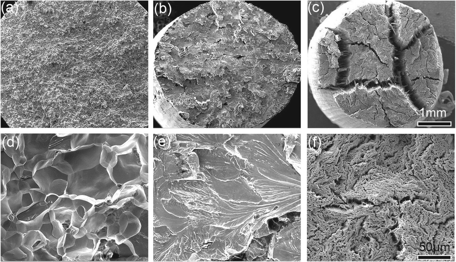 Representative SEM images to compare the fracture surface of pure Mo annealed at 1200 °C (a,d), Mo-0.3LaO (b,e), and 0.6 LaO (c f) at 1400 °C.