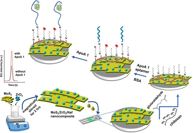 Ultrasensitive Nano-Aptasensor  to Detect Human Apolipoprotein