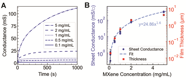 Room temperature electrical conductance measurements of jammed MXene nanoparticles at a biphasic interface. A plot of conductance versus time (A) shows the equilibration of MXene films formed by various concentrations of the MXene dispersion. In this plot, ligands are added at time