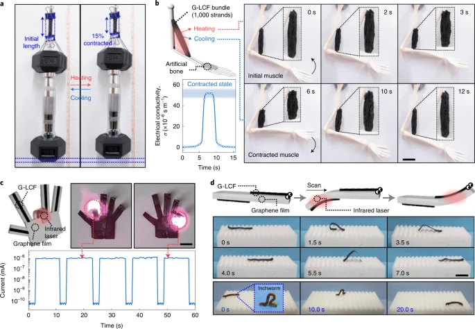Demonstration of artificial-muscle-based customized actuators